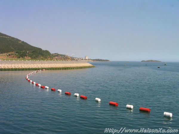 大连