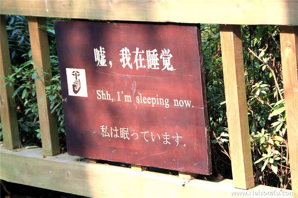 成都 · 135
