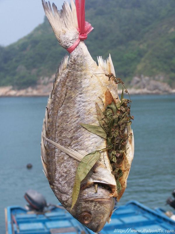 三门岛 · 314