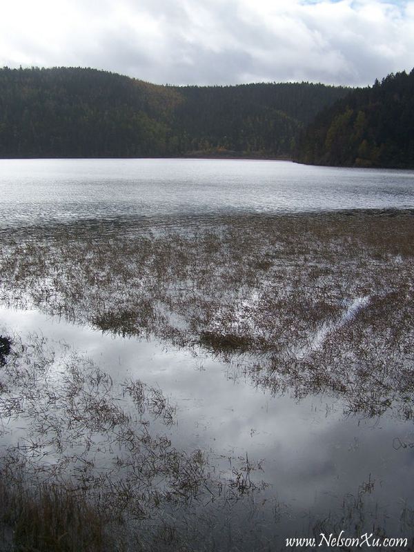 丽江 · 352