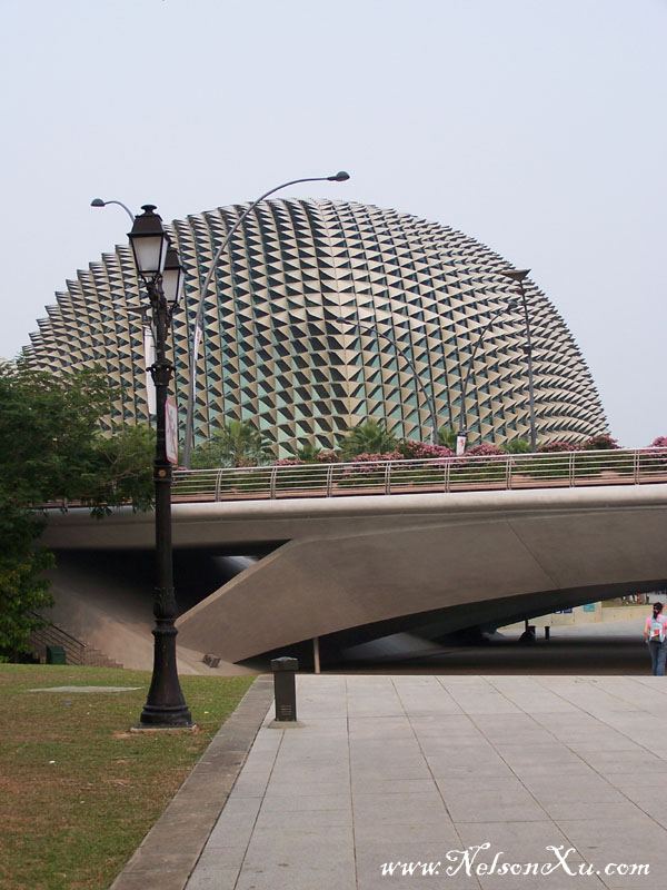 新加坡
