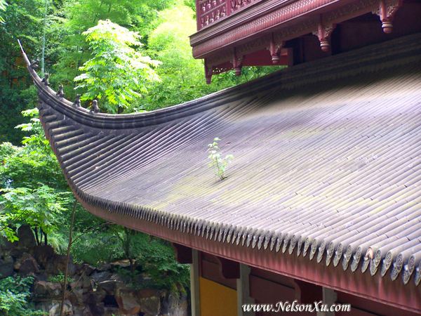 杭州 · 678