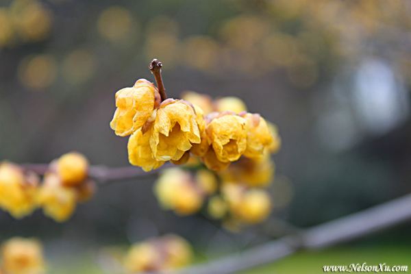 武汉 · 718