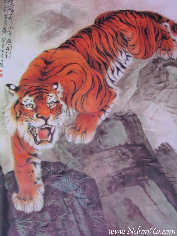 汕头 · 801