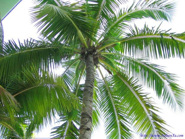 海南